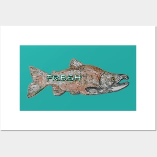 FRESH Sockeye Salmon Posters and Art